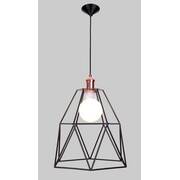 2017 new arrive home decorative  metal frame pendant lamp for indoor